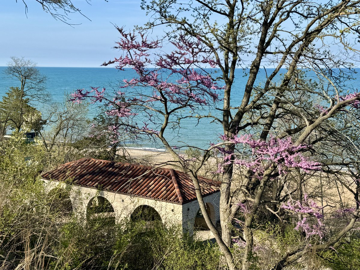 MichaelHeimlich's tweet image. Spring tree red-pink blossoms-blue sky-sunny-Lakefront Park bluff overlooking Lake Michigan 4:55-5:15pm April 22 2026 Glencoe Illinois USA -Editorial Use Permission w/Credit: Michael Heimlich @MichaelHeimlich; #Spring #Tree #Blossoms #Lake #Sunny #wx #ILwx @NWSChicago #StormHour