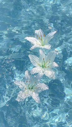 ynienieee_ tweet media