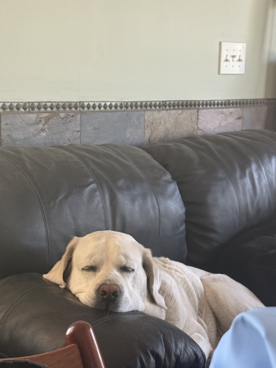 project hells mary tweet media