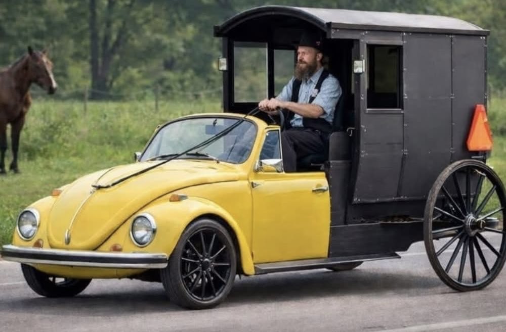 RobotPete of Selwyn! tweet media