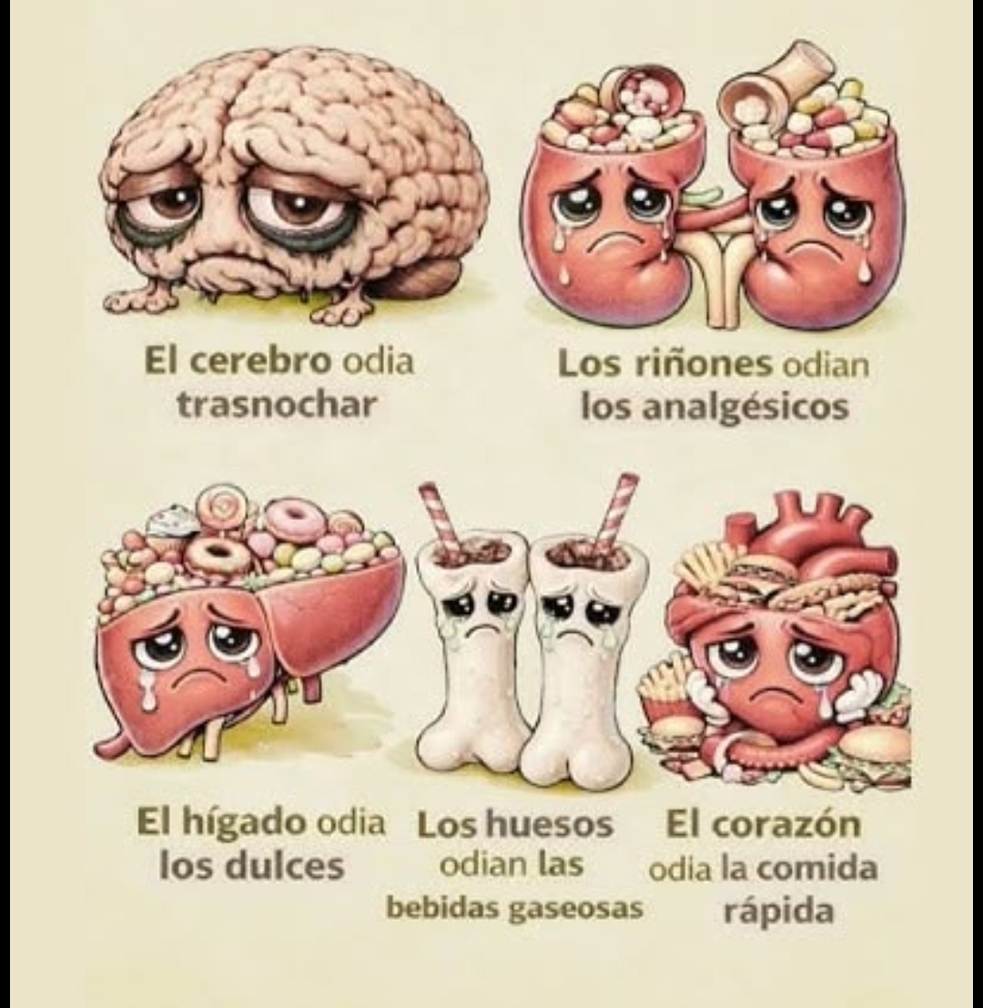 Más Ciencia tweet media
