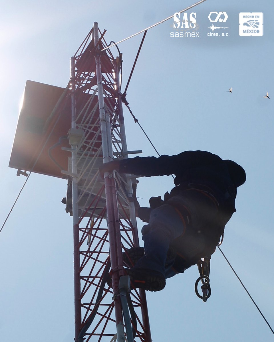 SASMEX's tweet image. En una torre de comunicaciones, el personal del Sistema de Alerta Sísmica Mexicano (SASMEX), hace actividades de conservación a un equipo.
#SASMEX #tecnología #alertasísmica #Oaxaca