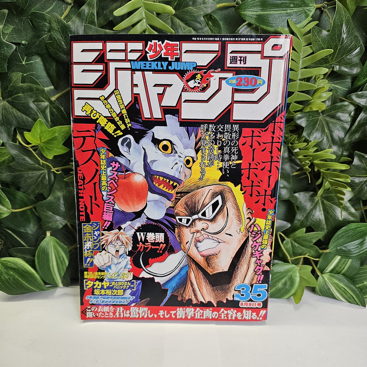 Konotoree tweet media