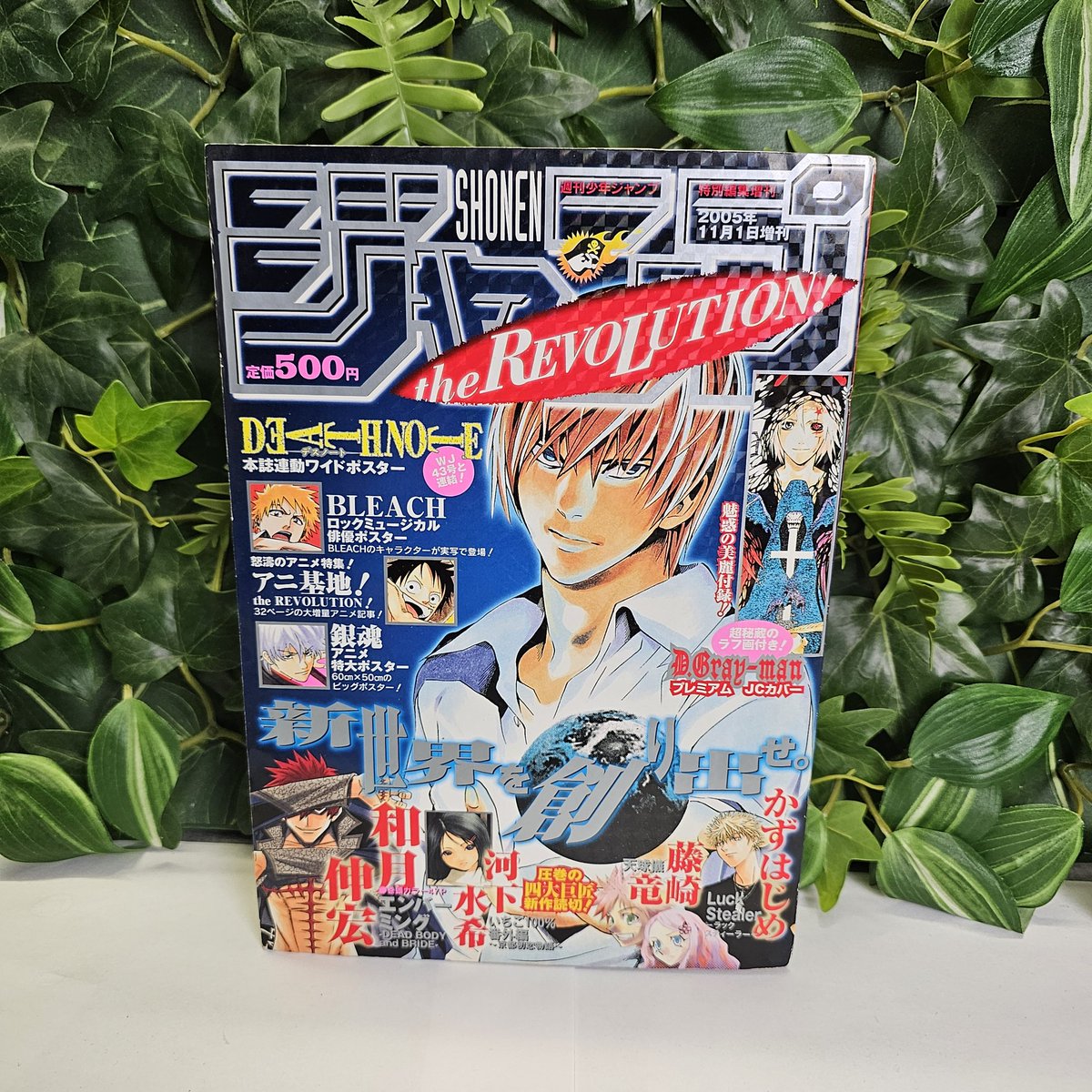 Konotoree tweet media