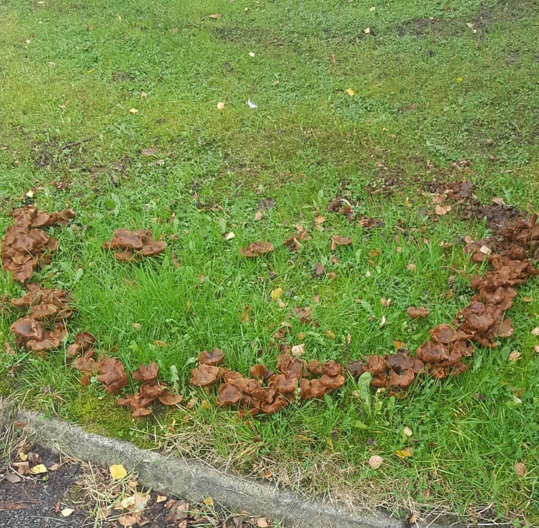 LesleyABR🤎🪷🕊️ tweet media