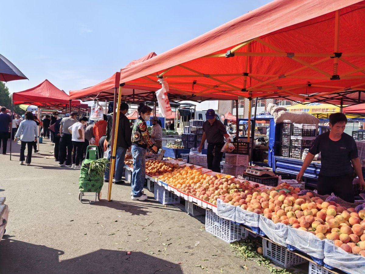 wafaa shawkat tweet media