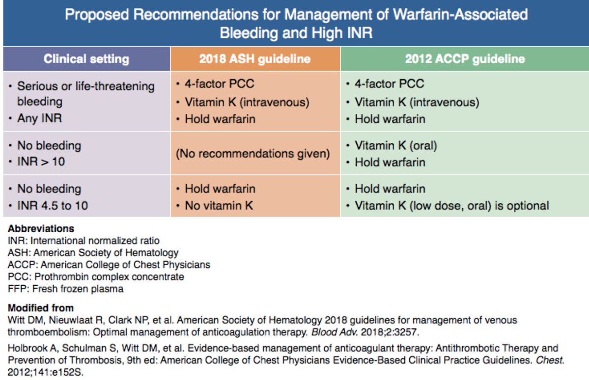 The Body Explained | Anatomy, Physiology, Medicine tweet media