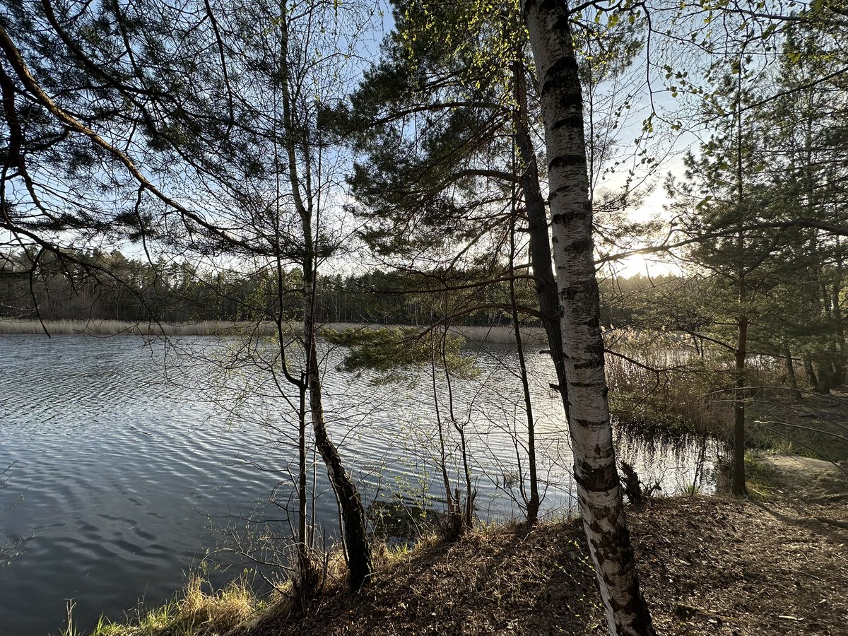 🌸і хлопчики стають буддами🌸 tweet media