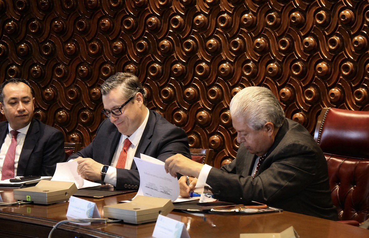 TJA_CDMX tweet media