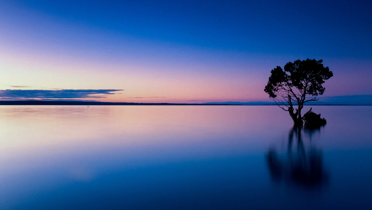 THAYA ARUL tweet media