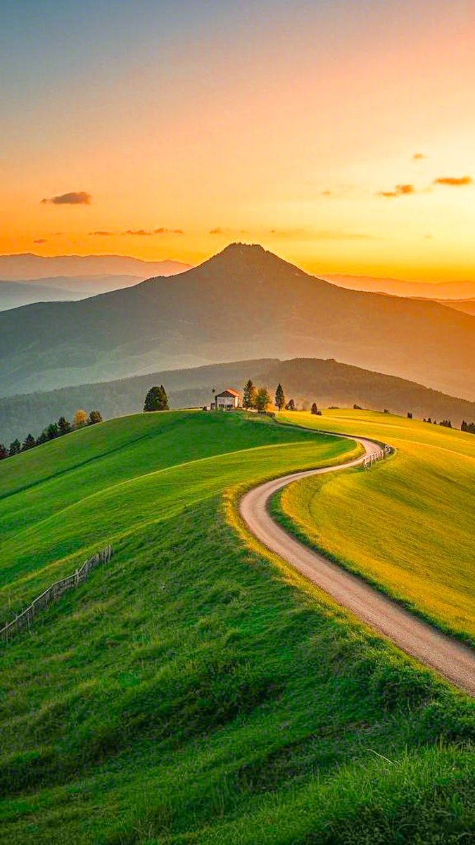 Nature🍃 tweet media