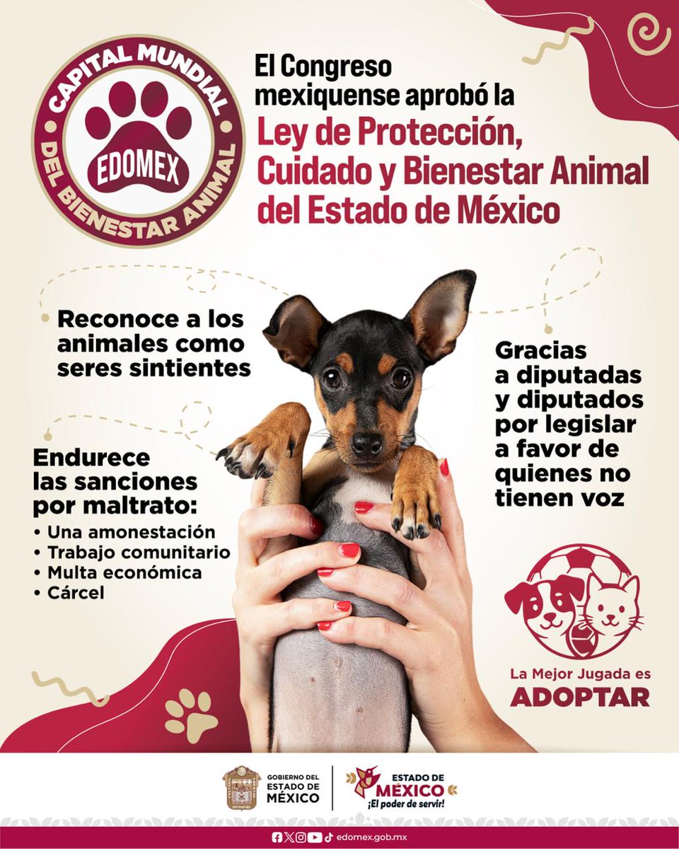 CJ_Edomex's tweet image. ¡Un paso histórico por la vida! En el #EdoMex se aprobó por unanimidad la Ley de Protección, Cuidado y Bienestar Animal 🐶Gracias a la iniciativa de la Gobernadora @delfinagomeza, los animales son reconocidos como seres sintientes que merecen dignidad y respeto.
#ElPoderDeServir