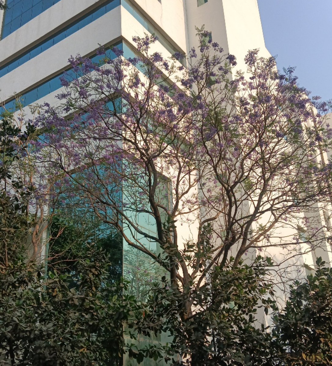 ShrutiR63477892's tweet image. Nobody checked on you today, did they? 
You smiled outside but cried inside.
You helped everyone but suffered alone.
You stayed strong but you were breaking.
You deserve love too. Not just from others… from yourself.✨
#Motivation #TwitterIndia #RT #foryou