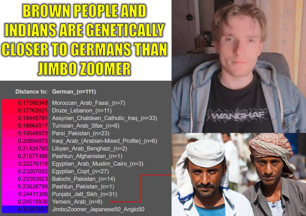 Olmec Head Groyper tweet media