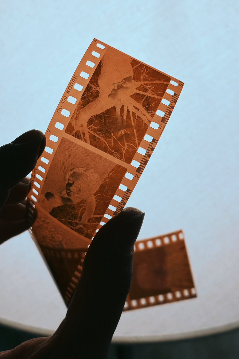 Nastya Gornaya tweet media