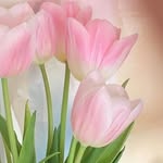 ttn.nhim tweet media