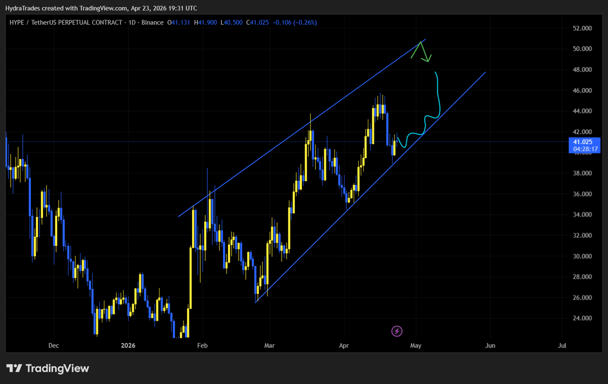 HydraTrades_HT's tweet image. This is the plane for HYPE 

#HYPE