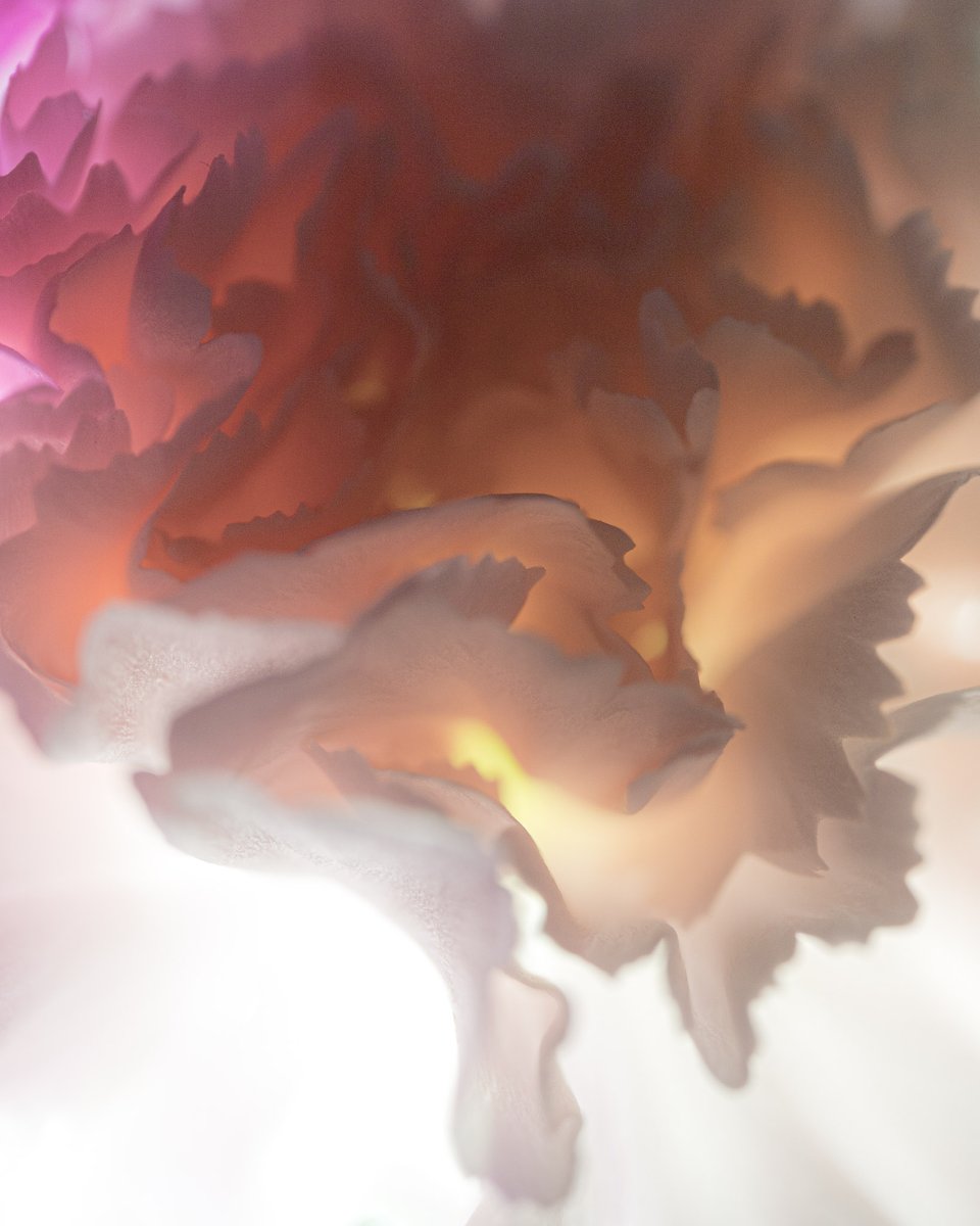 Jason DeBloois Photography tweet media