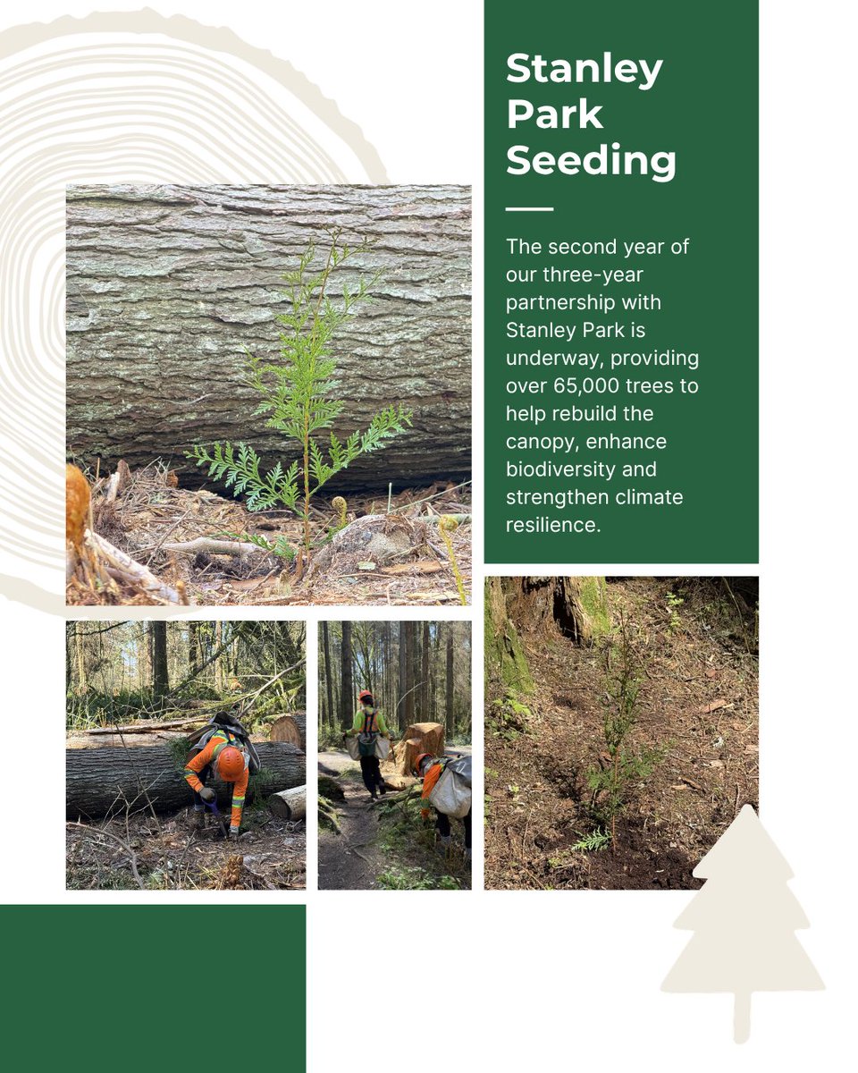 Western Forest Products tweet media