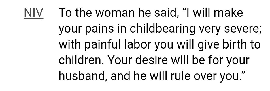 shredded Denim tweet media