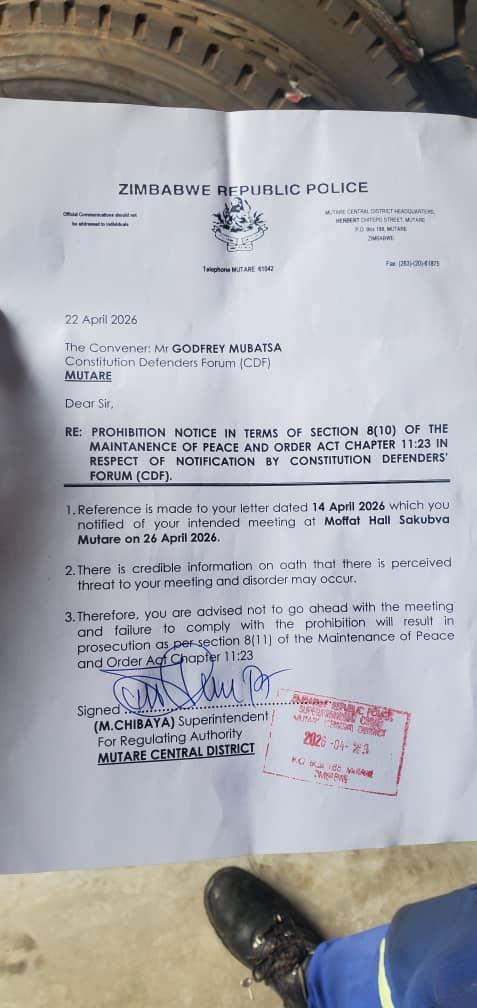 Jacob Ngarivhume tweet media