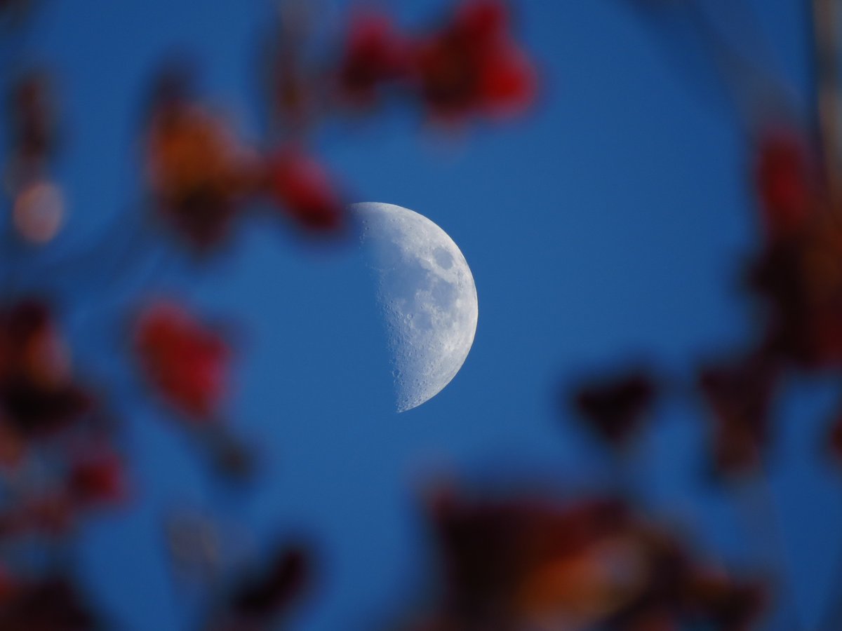 angegarrod's tweet image. 46.4% First Quarter moon 23/4/26

#moonwatch #wonders #astronomy #moonhour