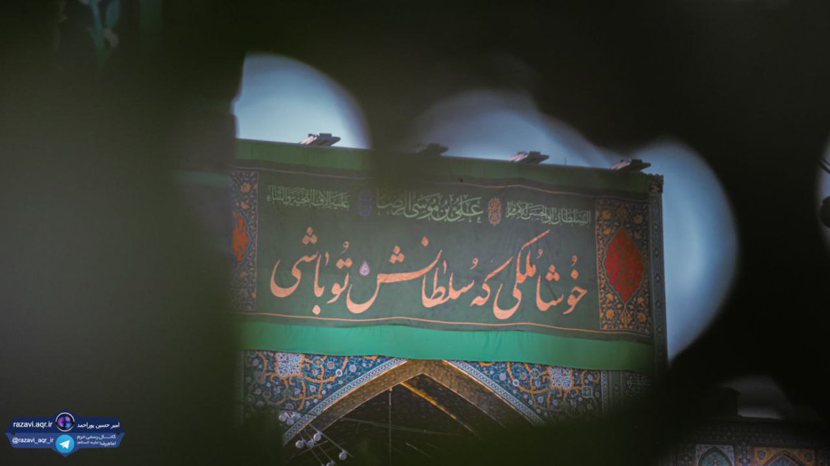 mohadash tweet media