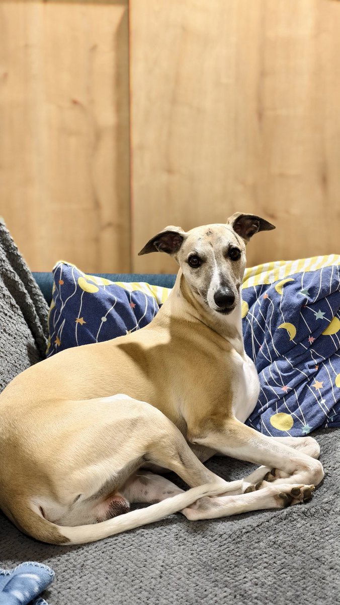 Мари на Луне tweet media