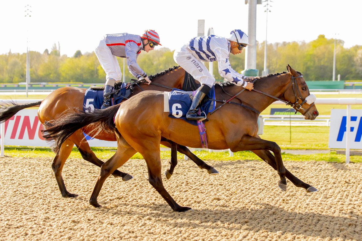 Basher Watts tweet media