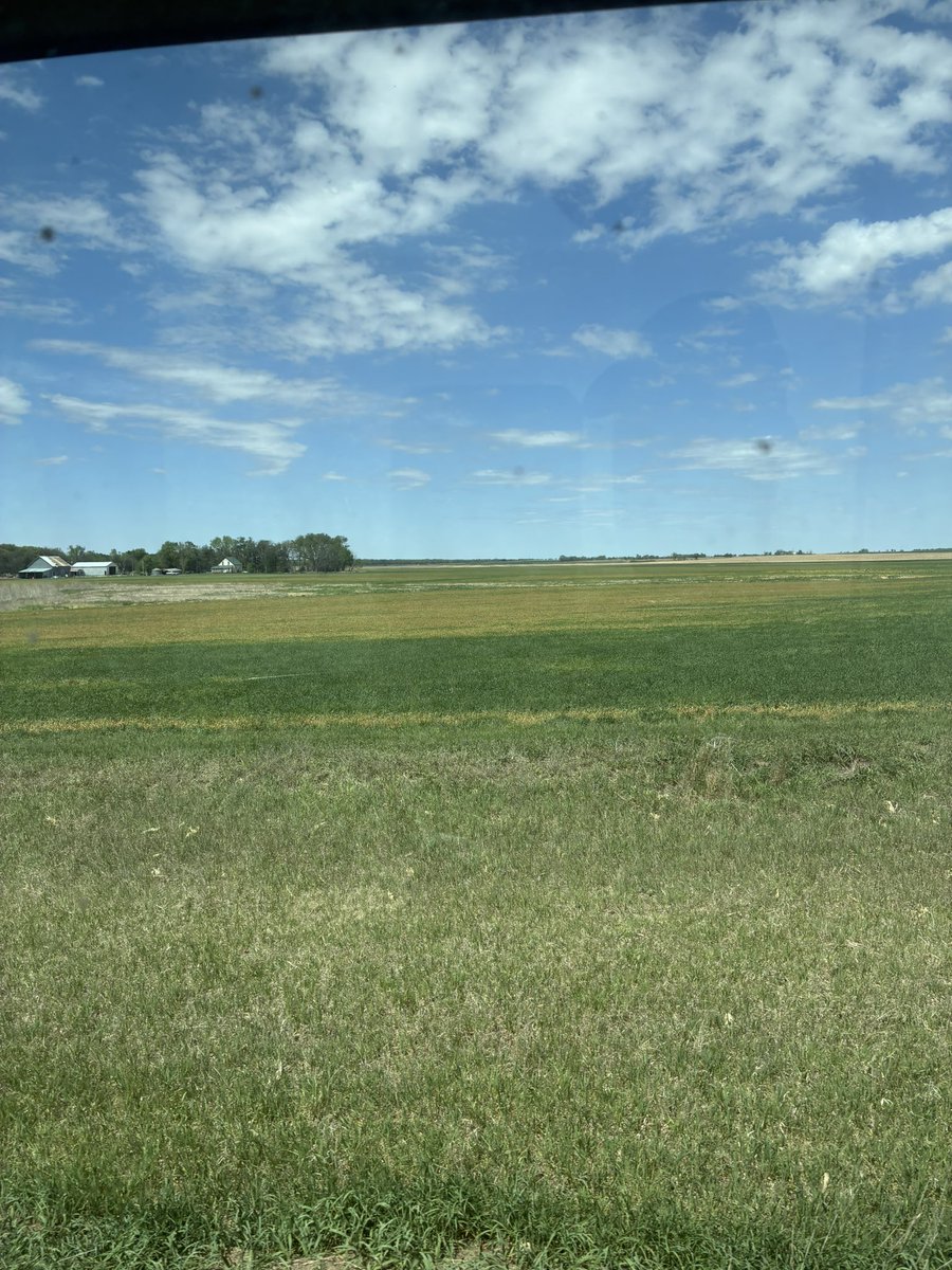 BradyD78's tweet image. #freeze  #wheat