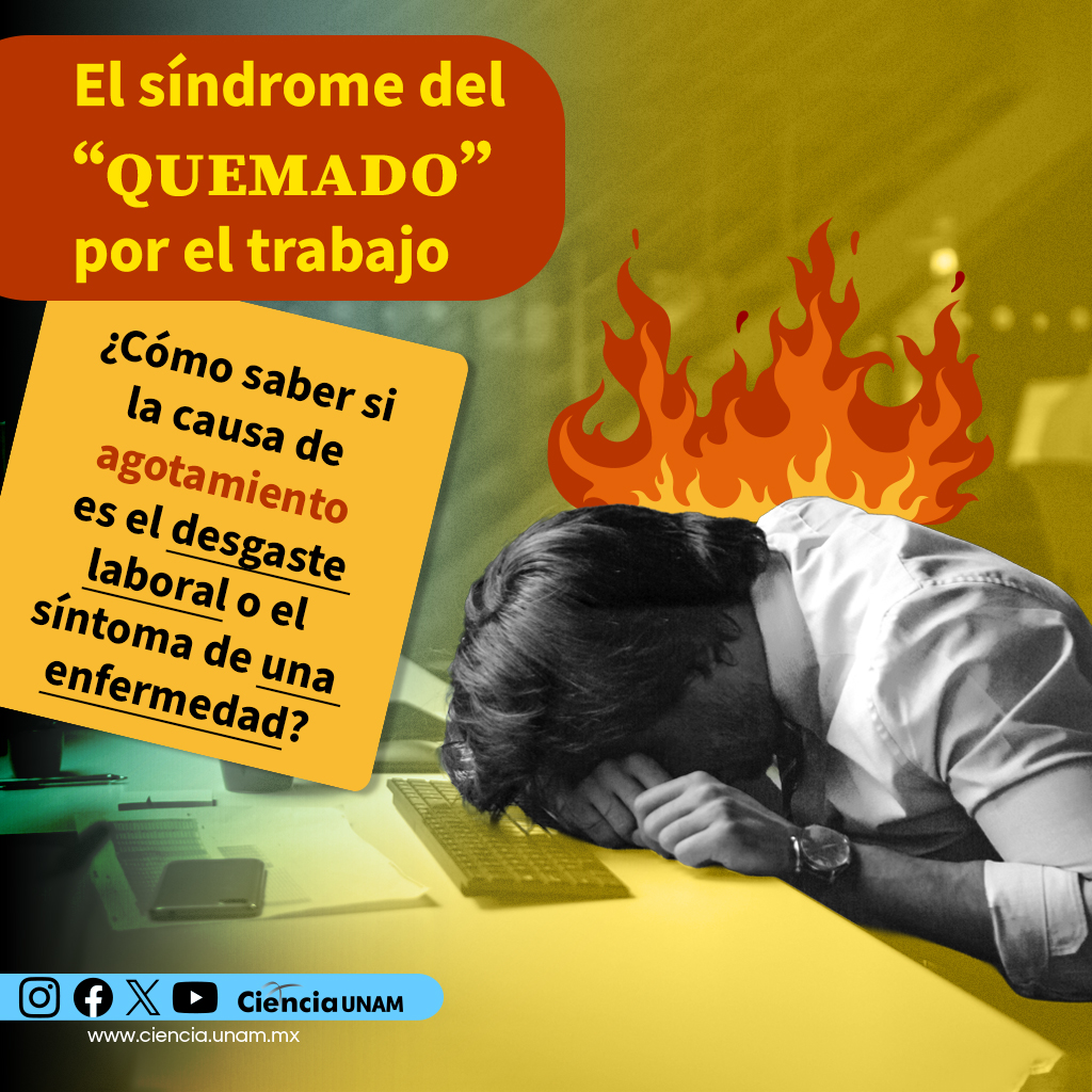 Ciencia_UNAM's tweet image. #Salud | El #Burnout no se soluciona solo con "vacaciones", sino con cambios estructurales en nuestra forma de trabajar de las organizaciones
¿Cómo identificarlo? Checa nuestro artículo: bit.ly/4vNon7c