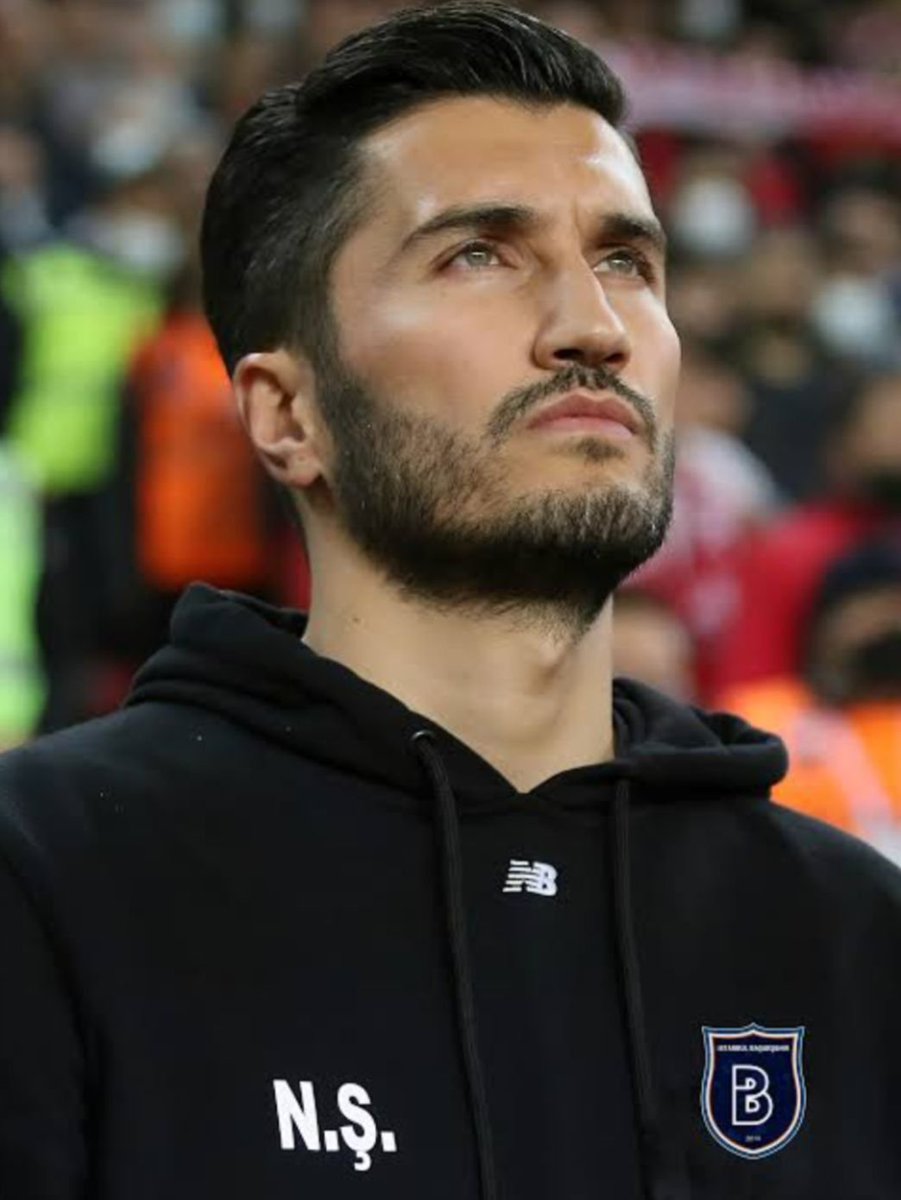 Bee Haber tweet media