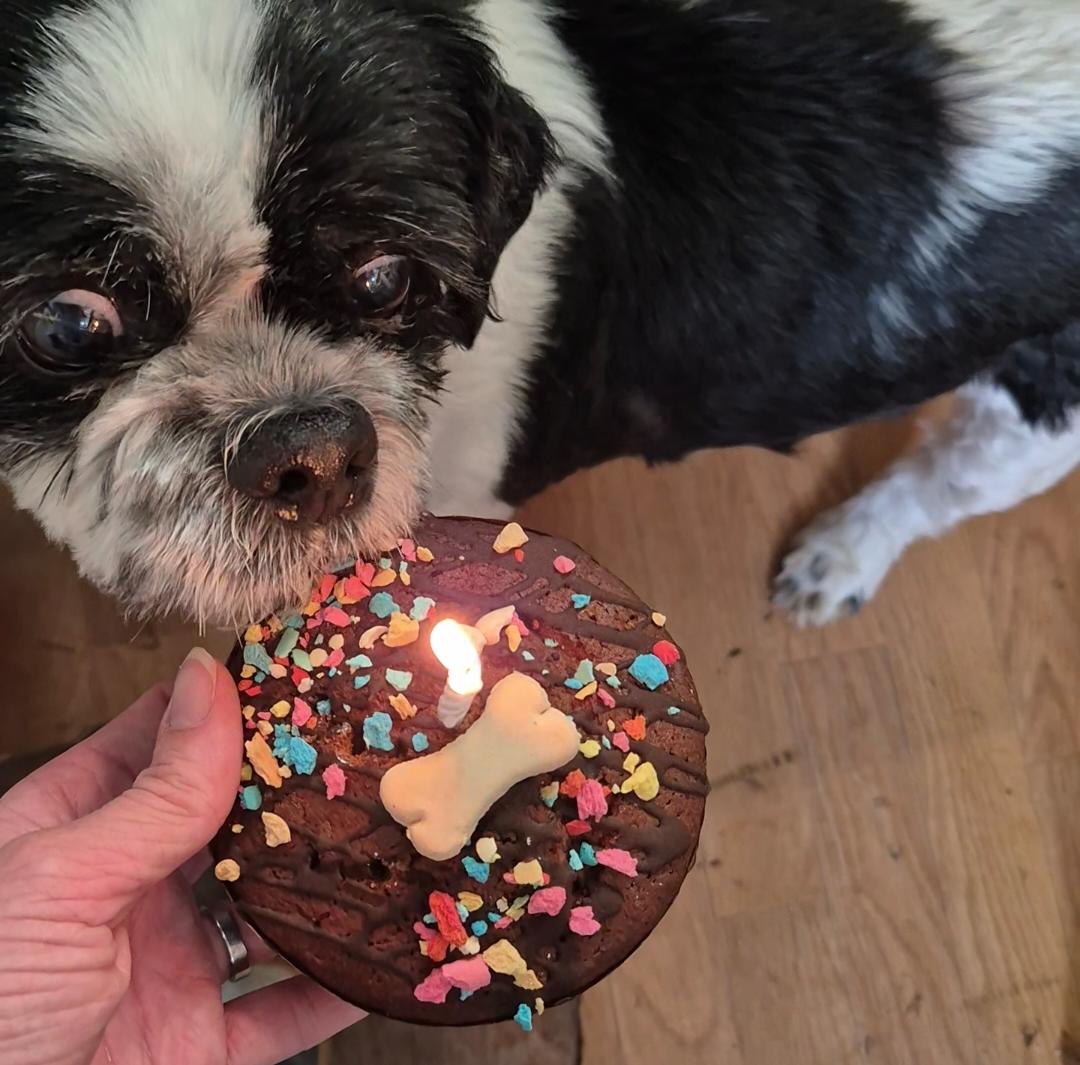 Solstice 🖇 tweet media