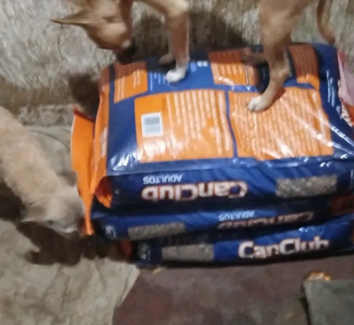 También debo agradecer a quienes pudieron colaborar tenemos cubierto su alimento muchísimas gracias a todos