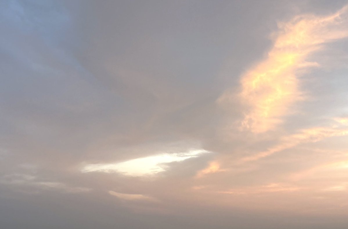 𝚜𝚊𝚝𝚘𝚔𝚘 tweet media