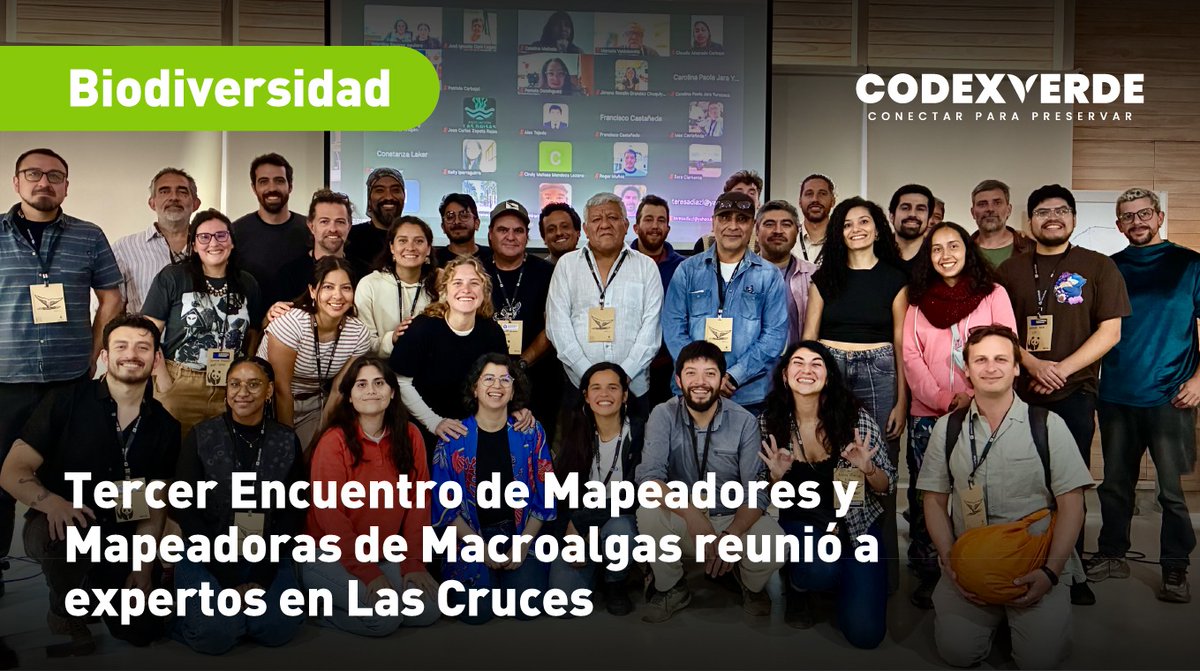 Codexverde tweet media