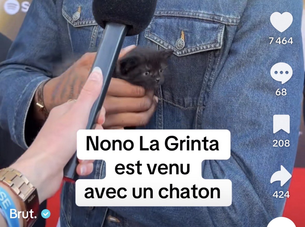 candyce_DjeLe's tweet photo. Comment ça peut te venir à l’esprit en 2026 d’amener un chaton à un événement avec autant de monde / autant de bruit, en le tenant dans tes bras juste pour annoncer la sortie de ton album ?? Et comment @spotifyfrance @FlammesAwards peuvent cautionner ça ??

#LesFlammes https://t.co/rPDu0d4rBf