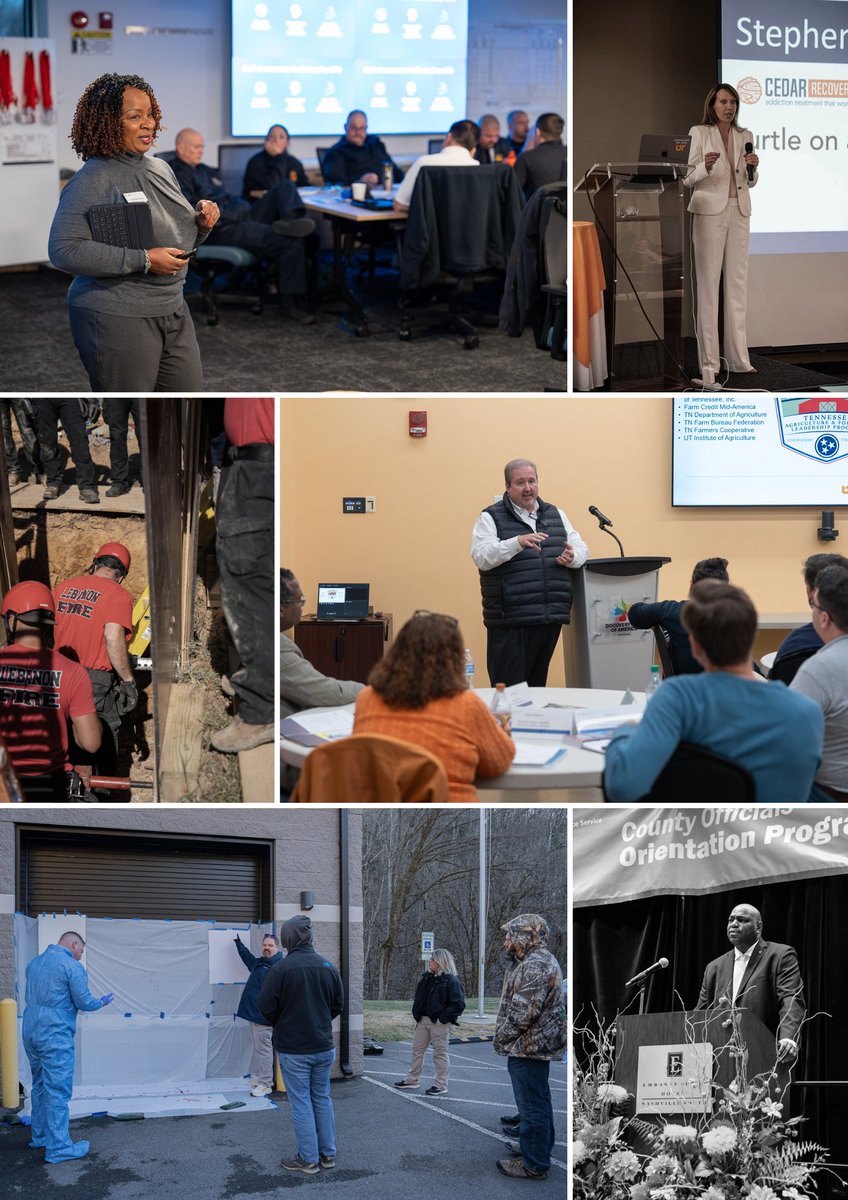 UT Institute for Public Service tweet media