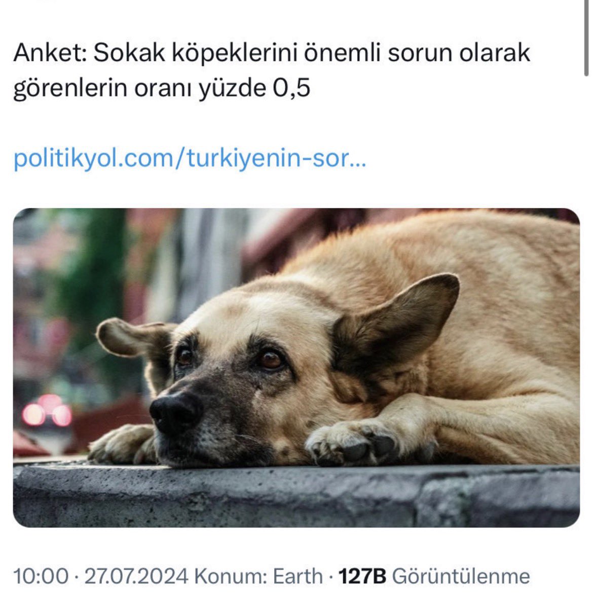 Hayvanlara Adalet Platformu (HAD) tweet media