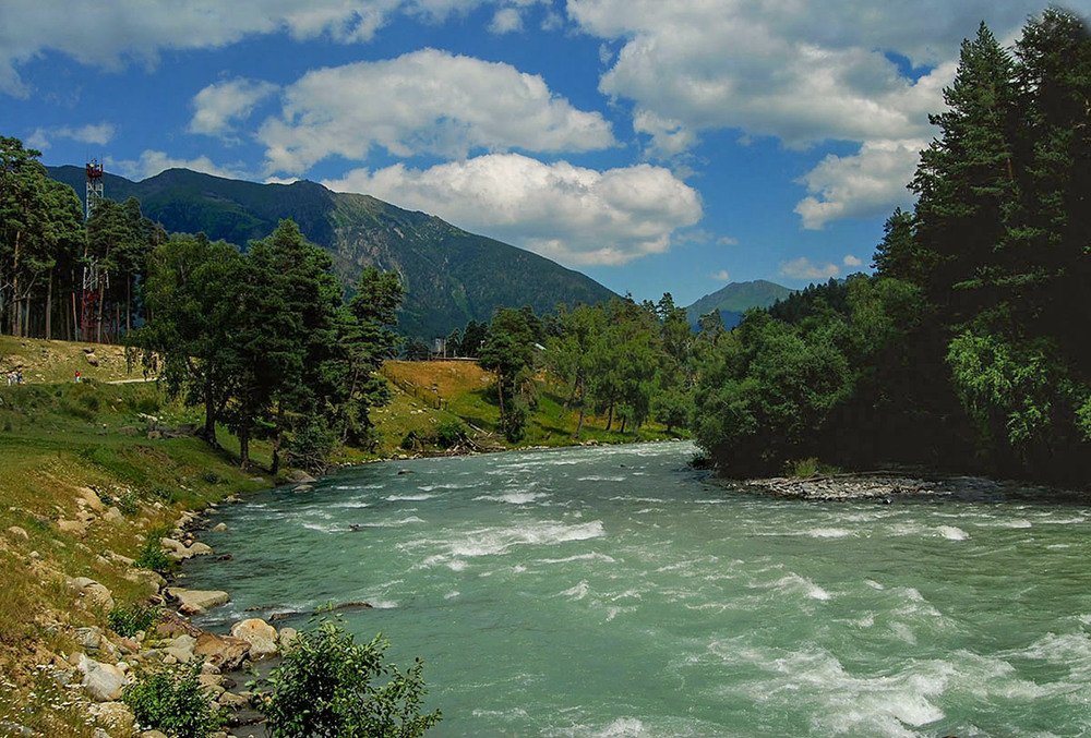 Совушка tweet media