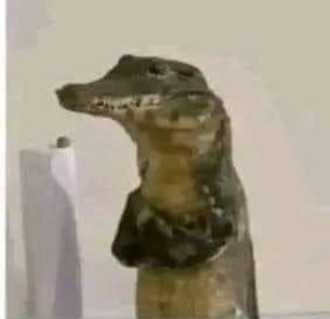 Roncanrolero 🎸 tweet media