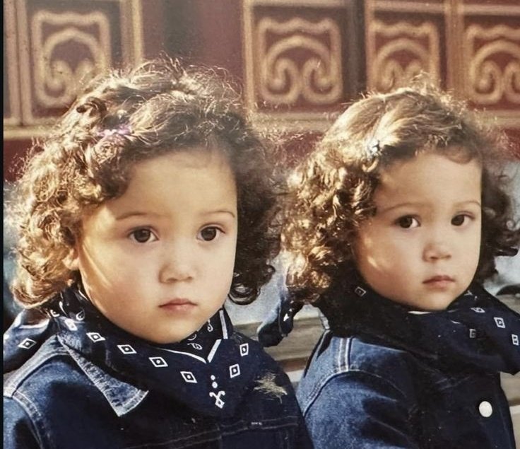 Acervo Laufey tweet media