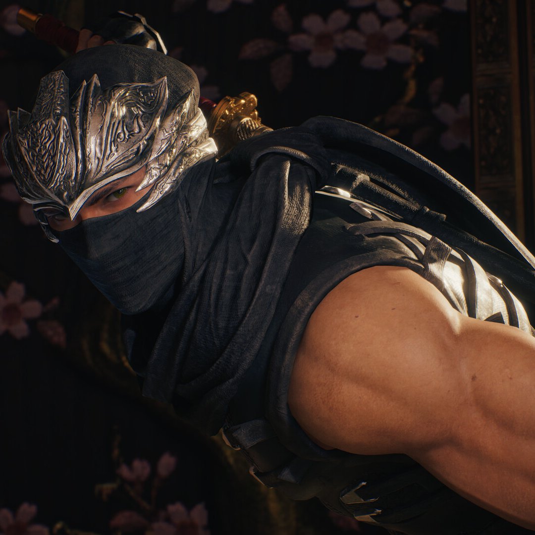 Team NINJA tweet media