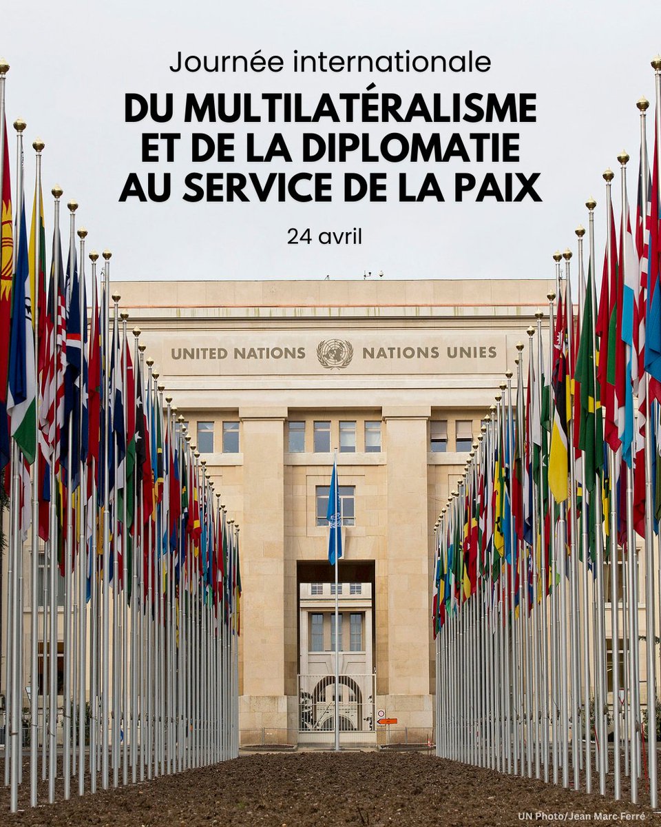 Nations Unies (ONU) tweet media