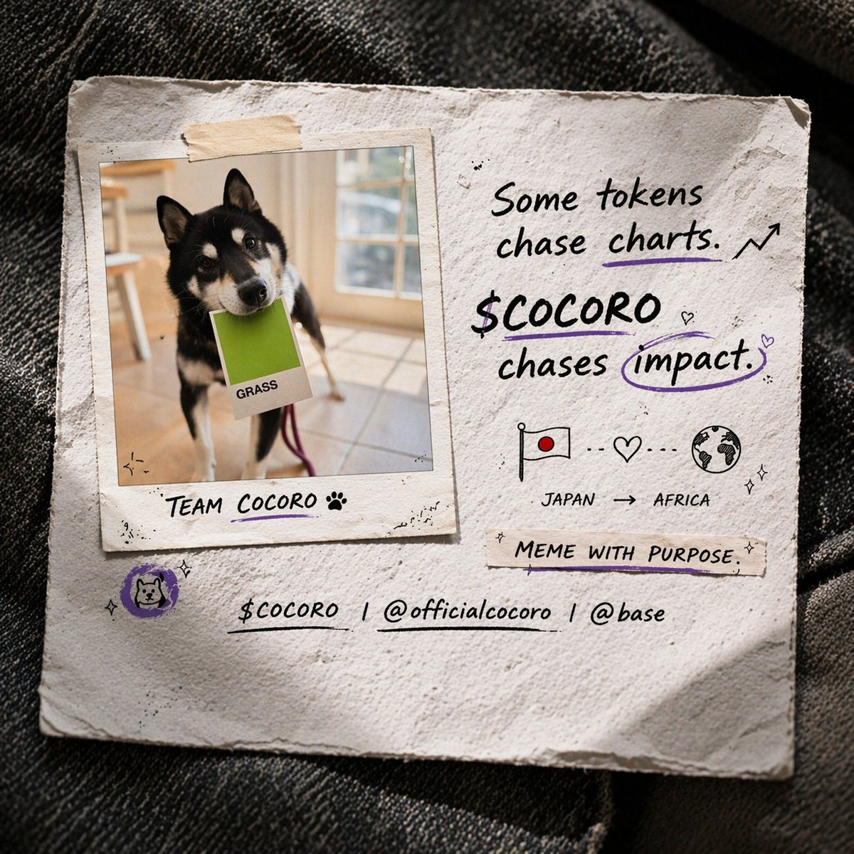 Cocoro (@officialcocoro) / Posts / X