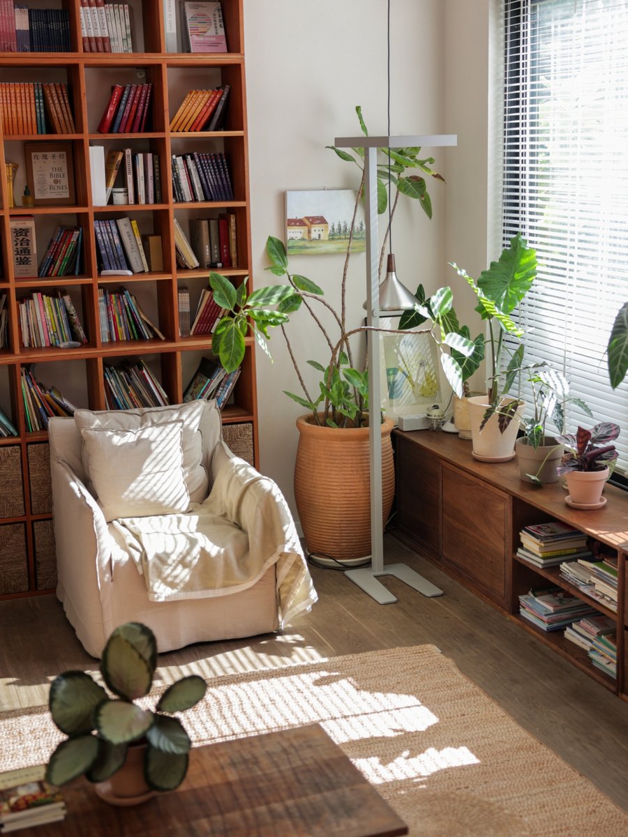 verite christelle tweet media