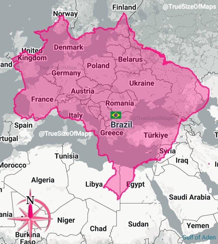 The Chronicle 🌐 tweet media