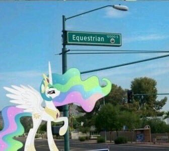 VoidMakie tweet media