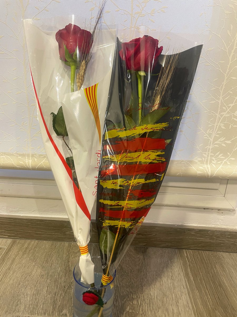 SharaminaReal's tweet photo. Feliz Sant Jordi!! 🌹🐲 https://t.co/5GyhITZDVg