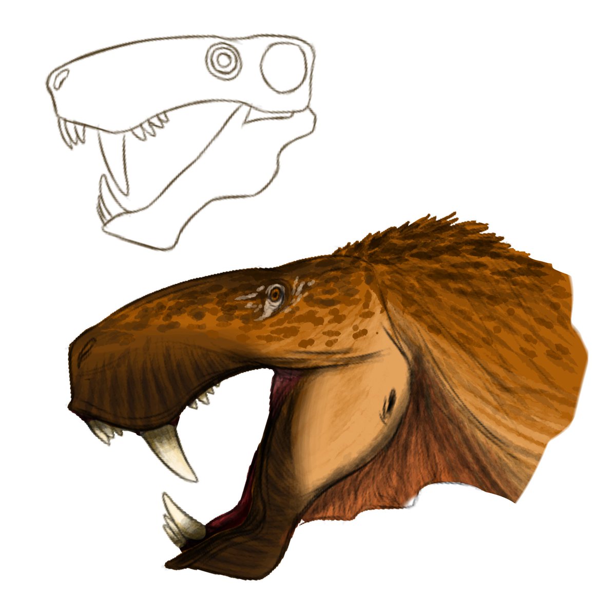 Gustavo_Paleo tweet media